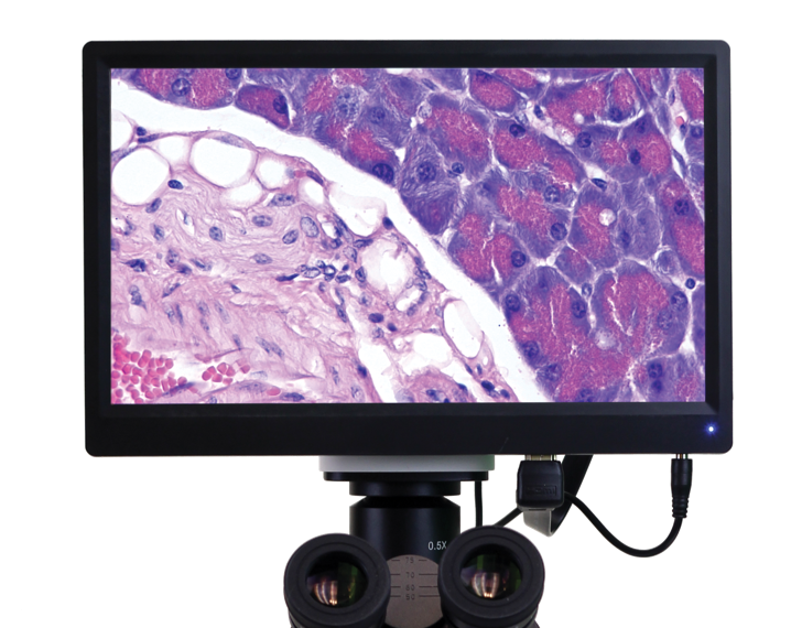 VetScan HDmicroscope Package 1