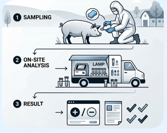 Workflow: sampling, on-site analysis, result